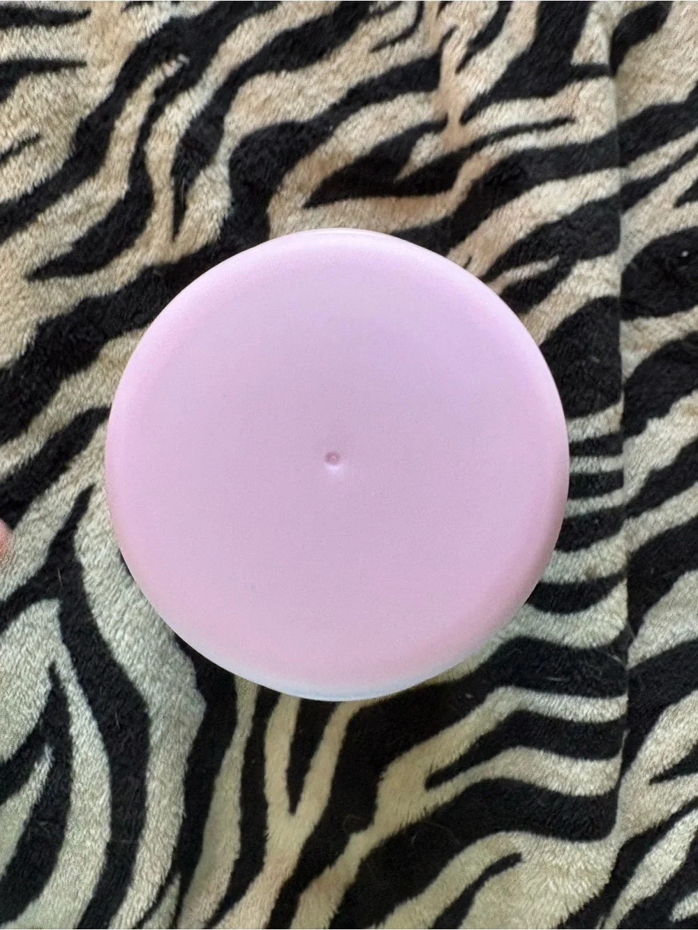 Pink and Purple Mermaid Food Storage Container